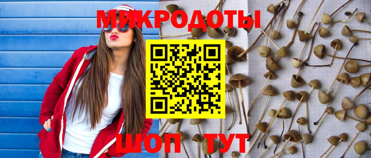 Псилоцибиновые грибы мухоморы Краснокаменск